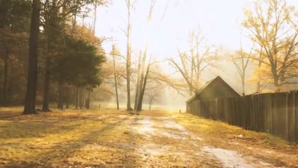 Old Abandoned Wooden Barn Lawn Autumn Forest Sun Rays Cut — Stock Video