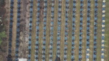Süs bitkilerinin satılık olduğu alanların havadan görünüşü. Daha sonra peyzaj tasarımında kullanılır..