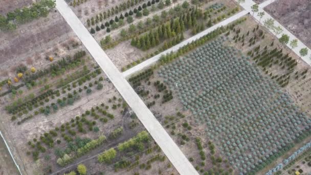 Luchtfoto Van Gebieden Waar Sierplanten Koop Zijn Die Vervolgens Worden — Stockvideo