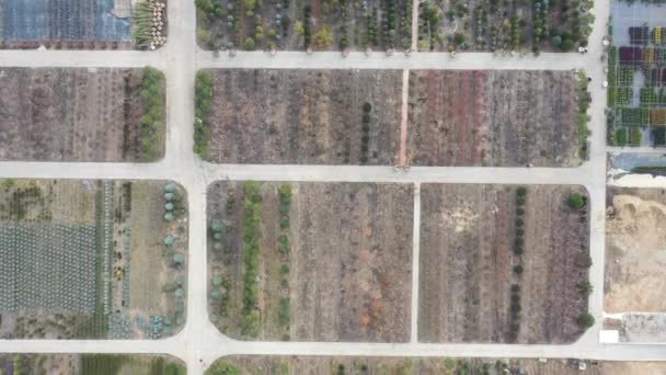 Luftaufnahme Der Gebiete Denen Zierpflanzen Zum Verkauf Stehen Die Dann — Stockvideo