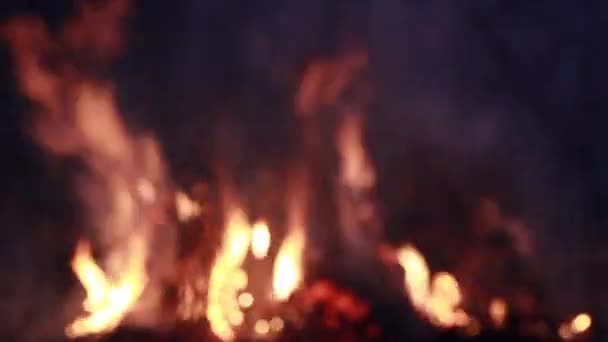 Feu nocturne dans la prairie, herbe brûlante, plan macro avec mise au point sélective .