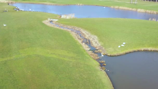 Campo de golf con césped de alta calidad y lagos. Parque Nacional Mezhigorye. Vista desde el dron . — Vídeo de stock