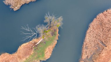 Dalı ve temiz suyu olan küçük bir nehir. Rezervuar kuru sazlıkların kıyısında. Kırsalda sonbahar manzarası.