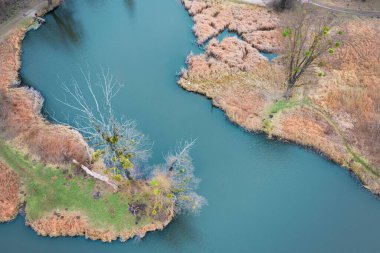 Dalı ve temiz suyu olan küçük bir nehir. Rezervuar kuru sazlıkların kıyısında. Kırsalda sonbahar manzarası.