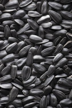 Natural background, texture of sunflower seeds. Close-up