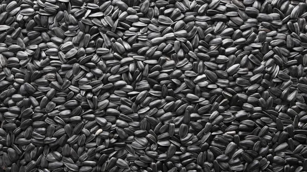 Natural background, texture of sunflower seeds. Close-up — Φωτογραφία Αρχείου