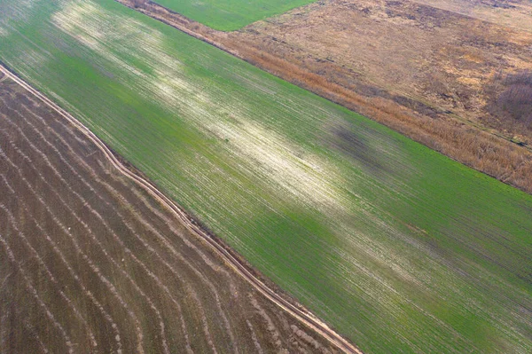 Umweltschäden Durch Die Landwirtschaftliche Tätigkeit Des Menschen Schleifen — Stockfoto