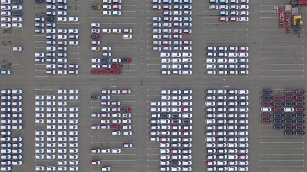 Drone view, new car parking, near the car dealer\'s logistics center. The parking lot of the updated lineup of cars near the auto shop.