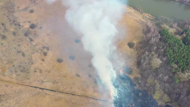 Hierba Seca Arde Prado Durante Una Sequía Extendiendo Rápidamente Llamas — Vídeo de stock