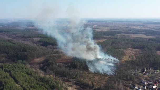 Vue du drone au feu dans la forêt .