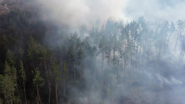 Vue du drone au feu dans la forêt .