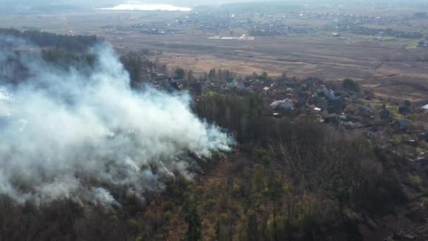 Vista desde el dron hasta el fuego en el bosque . — Vídeos de Stock