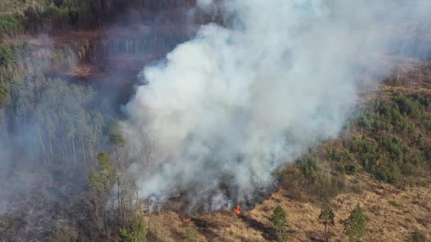 Vue du drone au feu dans la forêt .