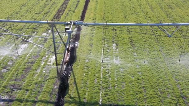 Bewässerungsschwenksystem zur Bewässerung landwirtschaftlicher Flächen — Stockvideo