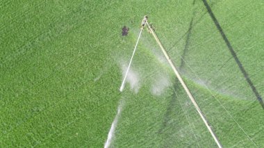 Tarım alanında geniş otomatik sulama sistemi var. Drone görünümü.