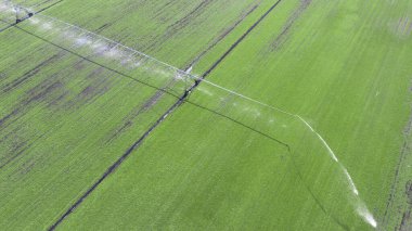 Tarım alanında geniş otomatik sulama sistemi var. Drone görünümü.