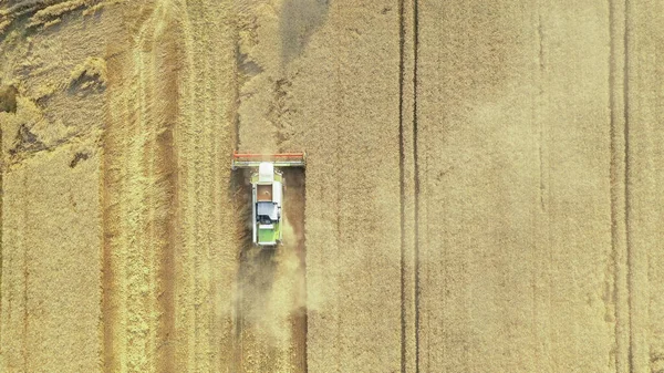 Harvester Special Machine Harvesting Agricultural Machinery Works Field Drone View — Stock Photo, Image