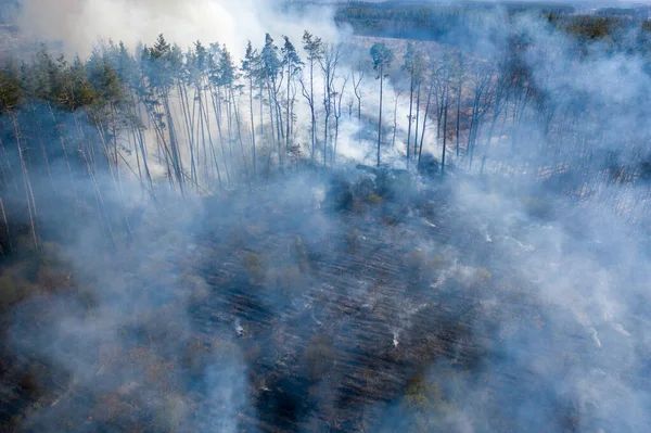 Vista Aérea Extensos Incendios Región Zhytomyr Ucrania Grandes Áreas Muchas — Foto de Stock