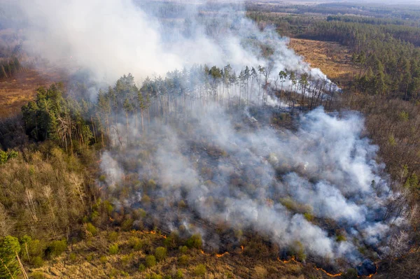 Vista Aérea Extensos Incendios Región Zhytomyr Ucrania Grandes Áreas Muchas — Foto de Stock