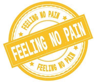 Duygu No Pain, sarı yuvarlak pencere boyutu üzerinde yazılı metin.