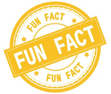 Fun gerçek, sarı yuvarlak pencere boyutu üzerinde yazılı metin.