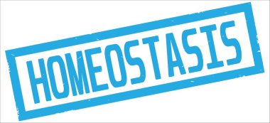 Camgöbeği dikdörtgen kenarlık damga üzerinde homeostazı metin.