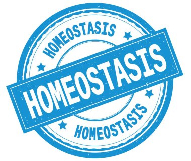 Homeostazı, camgöbeği yuvarlak pencere boyutu üzerinde yazılı metin.