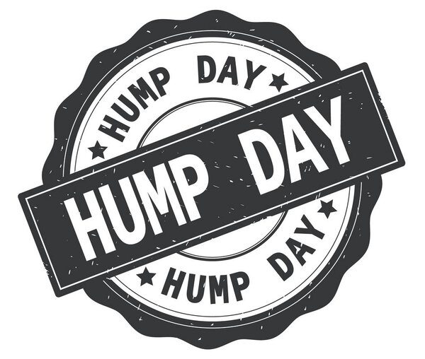 Текст HUMP DAY, написанный на сером круглом значке
.