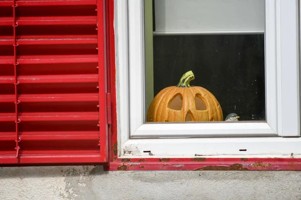 Wyrzeźbiona Dynia Halloween Białym Oknie Czerwonymi Żaluzjami — Zdjęcie stockowe