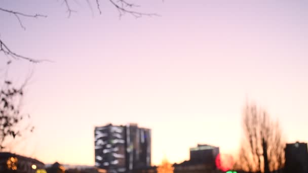 Lumières de ville floues avec la ville floue en arrière-plan et tout ressemble à un conte de fées