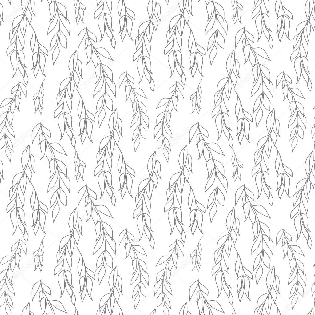 Gray willow branches white background. Pattern