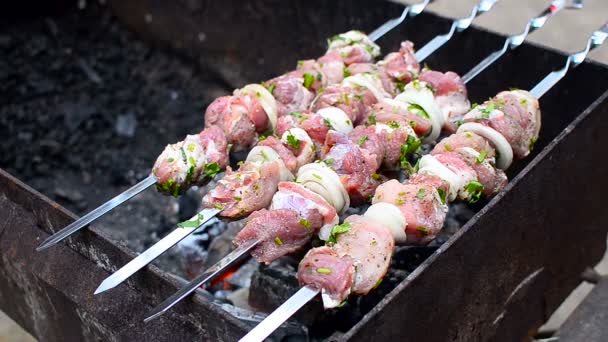 Barbekyu grliling shish kebab — Stok Video