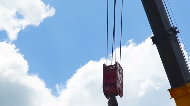 Grulla contra el fondo del cielo . — Vídeos de Stock