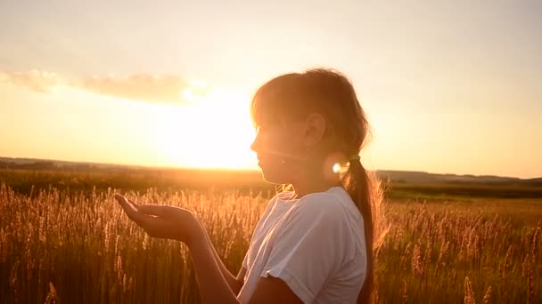 Fille souffle sur les graines de blé sur un coucher de soleil — Video