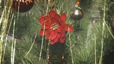 Noel çam ağacı dalı kırmızı çiçekli