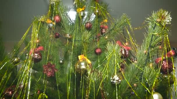 Big Christmas tree with spheres — Stockvideo