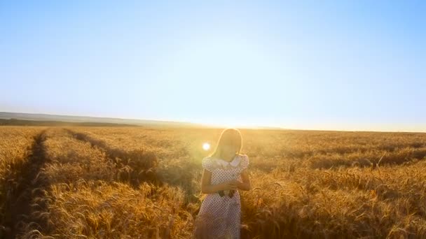 Meisje verzamelt tarwe in het veld — Stockvideo