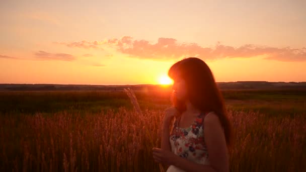 Дівчина тримає пшеницю на заході сонця — стокове відео