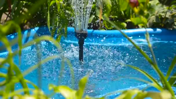 Пруд в саду, с фонтаном с цветами и растениями — стоковое видео