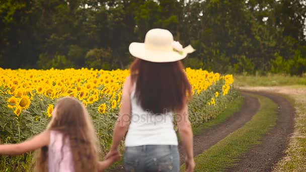 Familie outdoor recreatie in de zomer — Stockvideo