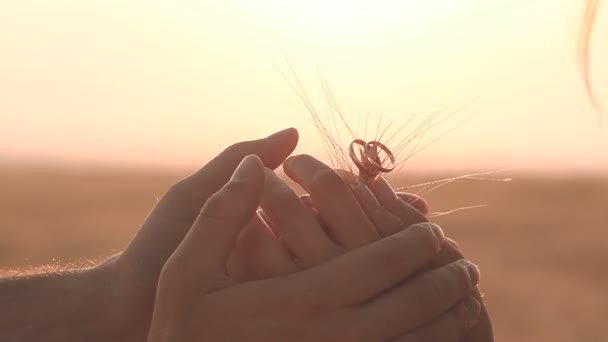 Männliche und weibliche Hände mit goldenen Ringen bei Sonnenuntergang — Stockvideo