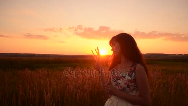 Chica de pie en la puesta del sol con espiguilla de hierba — Vídeo de stock