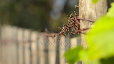 paslı dikenli tel üzerinde eski bir ahşap çit