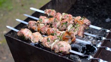 Barbekü grliling şiş kebap