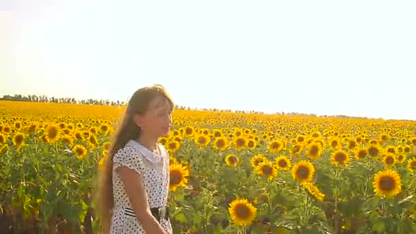 Menina adolescente feliz andando em um campo de girassóis amarelos, flor dourada girassol oscila no vento . — Vídeo de Stock