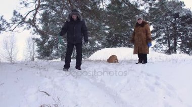 Kış kış sürme bir köpek ile bir parkta-parka, köpek ile dolaşmak, bir aile tatili karlı tepeleri ile gülen bir adam