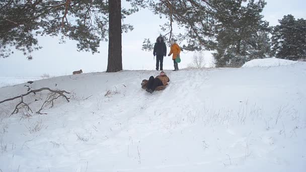 Бабуся дівчина і собака катаються зі сніжною гіркою взимку в парку, жінка сміється грає собаку, сімейний відпочинок взимку в парку з собакою — стокове відео