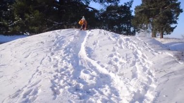 Genç kız kış Park, karla kaplı Tepesi'nden kızakla bir kız ile bir köpek, bir parkta bir güneşli kış günü karlı bir ormanda yürüyüş