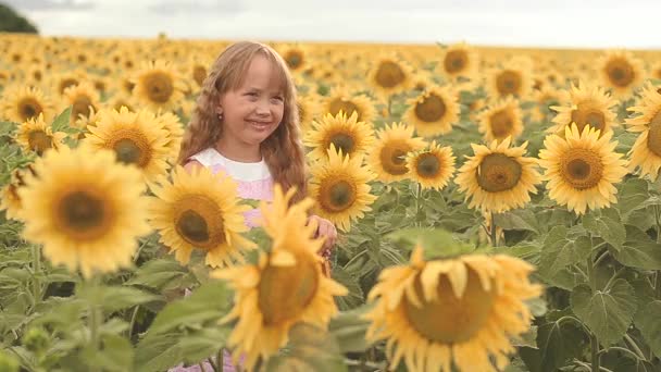 Маленька дівчинка посміхається в полі соняшників, сімейний відпочинок на природі — стокове відео