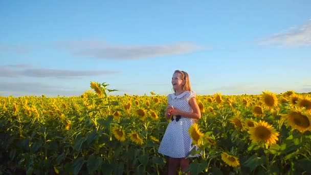 Ung flicka dansa med en telefon i ett fält av solrosor och blå himmel över ett fält med — Stockvideo